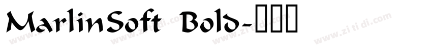 MarlinSoft Bold字体转换